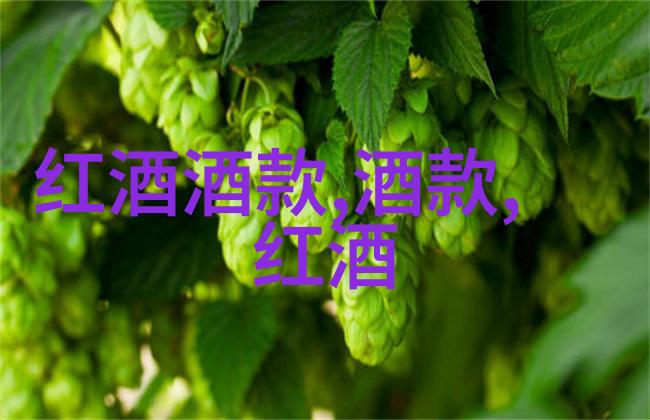 百度之窗智慧的付费咨询