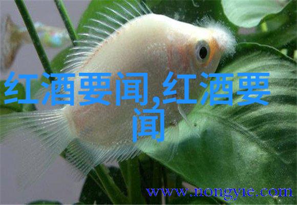 今日蚂蚁庄园答案最新2022年3月探索数字养殖的智慧之路