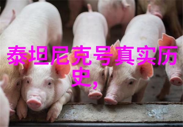 富豪酒庄开心庄园能提现吗物品场景解析