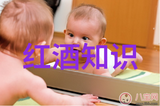 360问答电脑版解锁智能生活的秘密武器