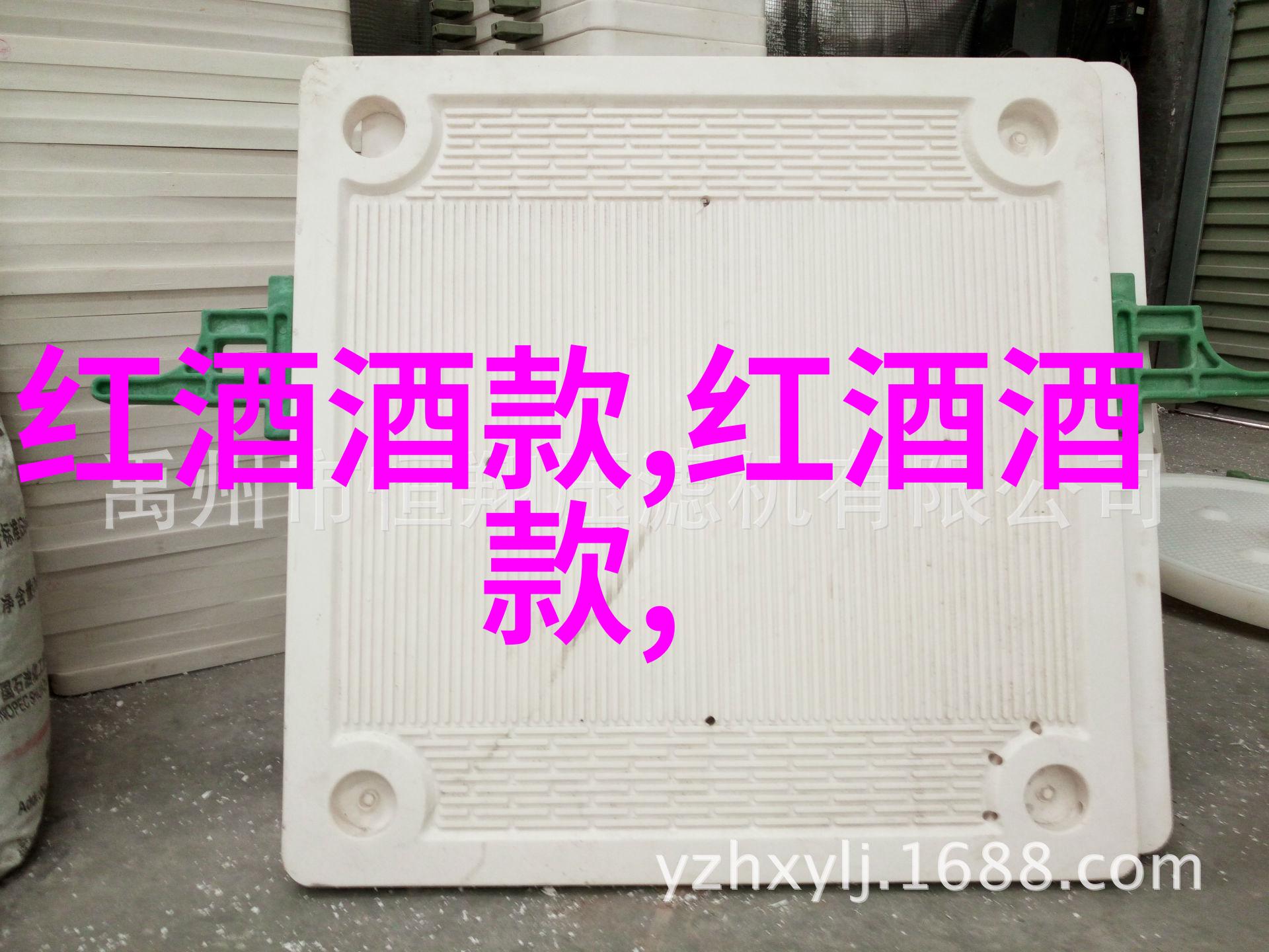 猫咪种类排行榜揭秘全球最受欢迎的宠物小王子