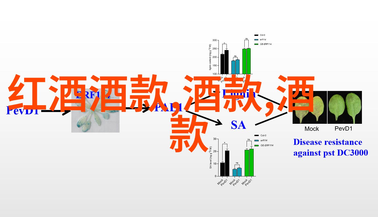 刘金翠自然中的真实人物背景探秘