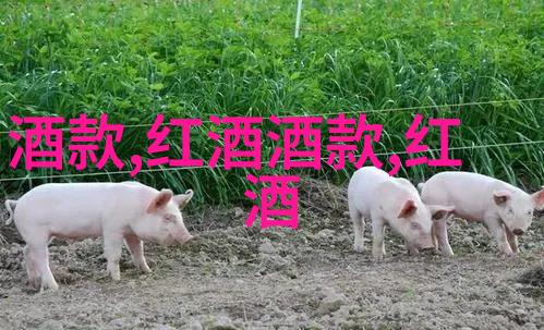 喜宴奇遇宾客有奖问答的浪漫挑战