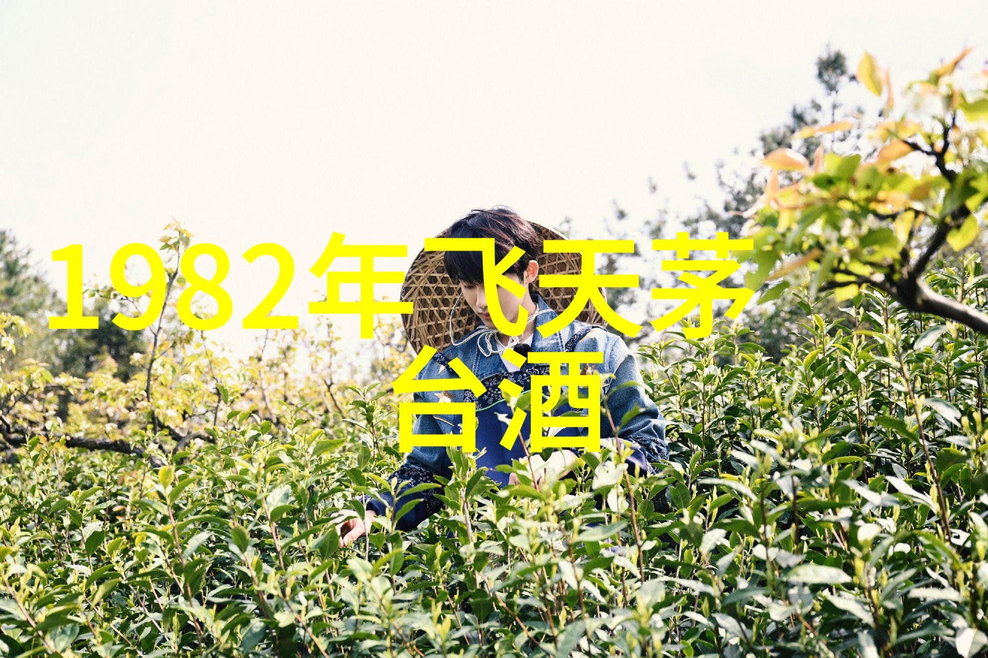 主题我把收藏的照片删了怎么恢复