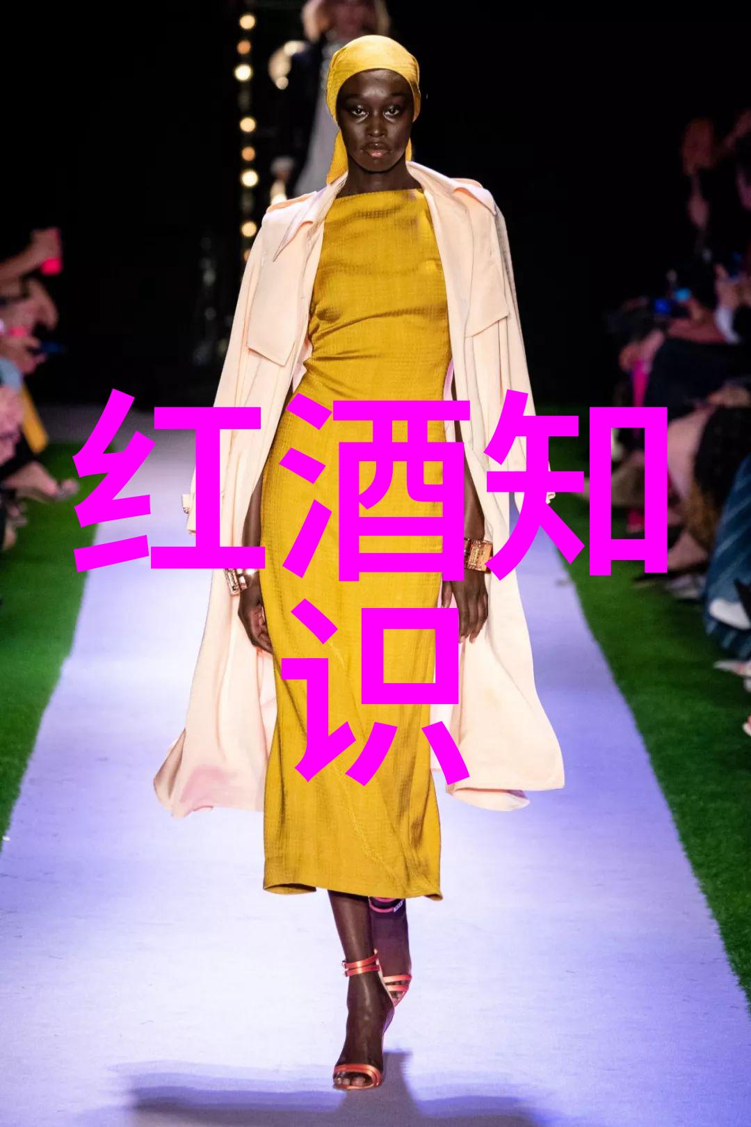 小四郎收藏家保乐力加耀眼成就2022年销售腾飞创纪录