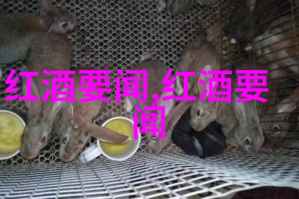 在南星山的白玫瑰庄园里隐藏着怎样的秘密