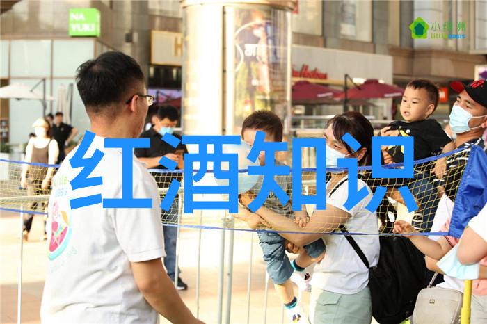 庄园与城堡的区别探究古老建筑的不同面貌