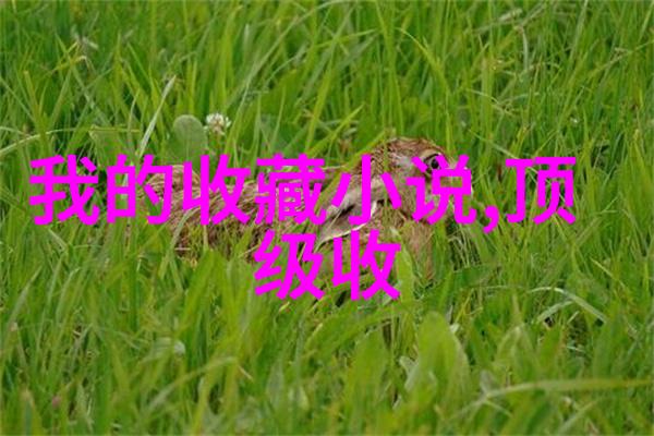 提升问题解决能力利用有趣智力问答培养未来领导者