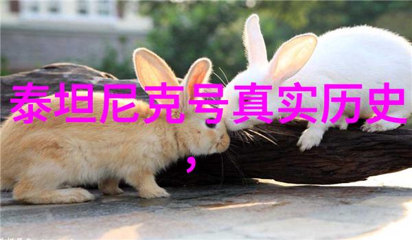 3月26日庄园小课堂答案-春日学术探索解答园中疑惑
