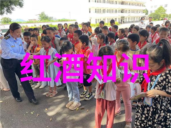 欧美3P高清视频体验双重视觉盛宴