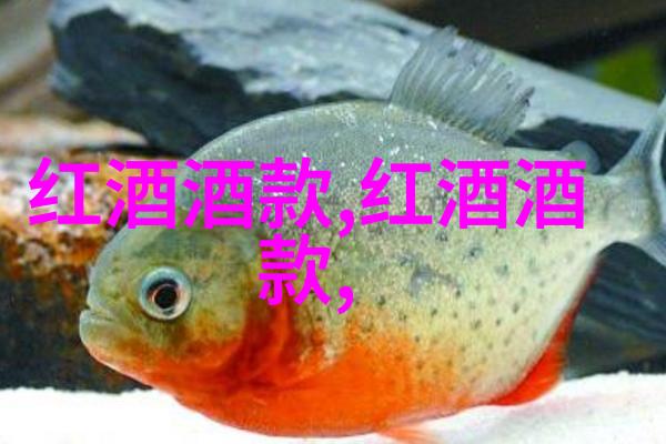 动漫周边-探索幻想世界动漫周边的设计与收藏