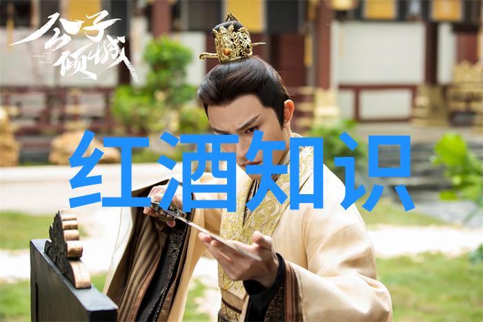 喝剩或过期葡萄酒的10大妙用