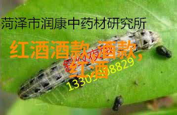 镜中人高光与阴影的交错