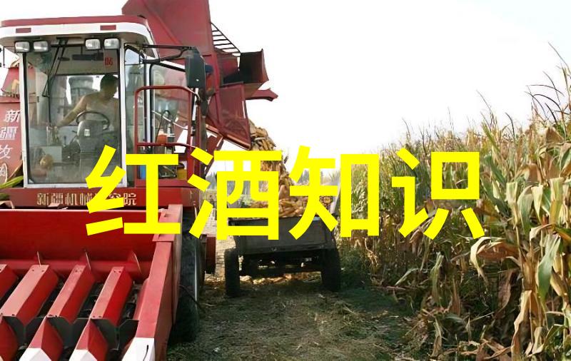 百度知道首页探秘如何高效寻找答案
