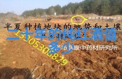 哪位中国近现代杰出人物的生命故事像一瓶精美的葡萄酒既能激发人们的情感也能讲述历史的篇章