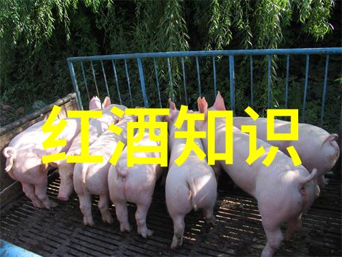 主题揭秘动漫周边的魅力从角色造型到收藏价值