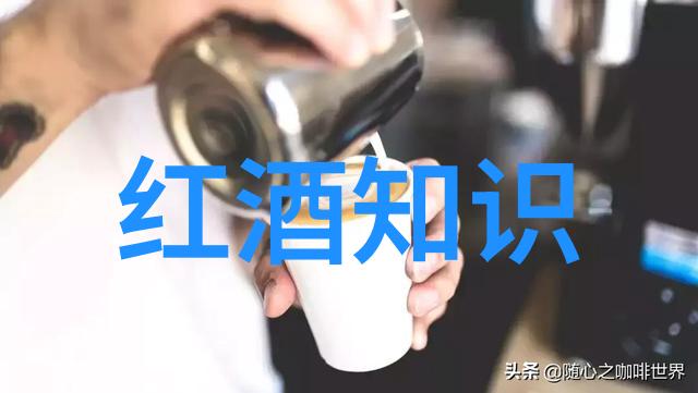 中国豪宅之冠帕格里克酒庄别墅宛若天上之宫阙
