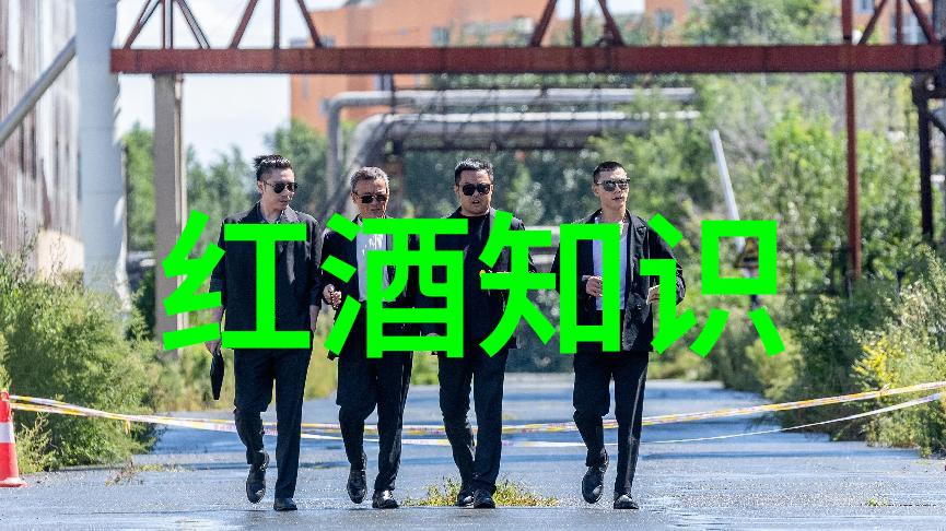 梦想建筑师自由建造家园的乐趣与挑战