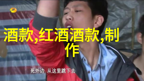 意外的机遇揭秘纯属意外背后的成功故事