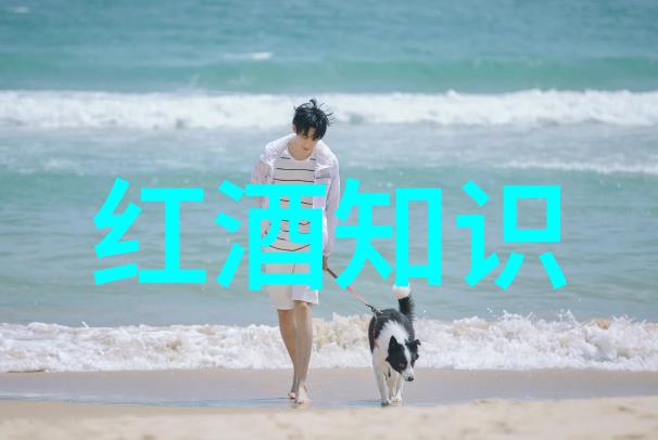 阿根廷红酒之都莱茵黑森的葡萄园盛宴