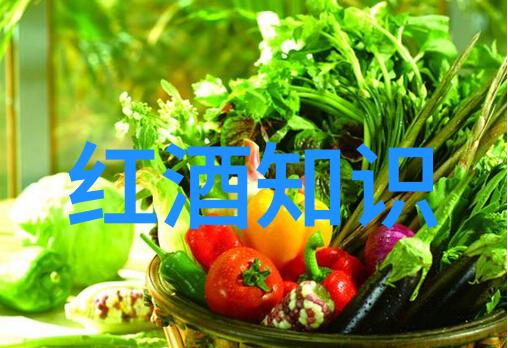 阿根廷门多萨风情下的普罗旺斯法国南部的香草之都