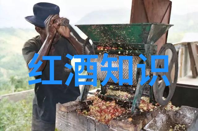 进口葡萄酒哪个产区的好我来告诉你一个秘密西班牙的里瓦达维亚