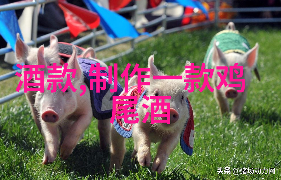 猫咪品种探秘喵呜的多彩世界