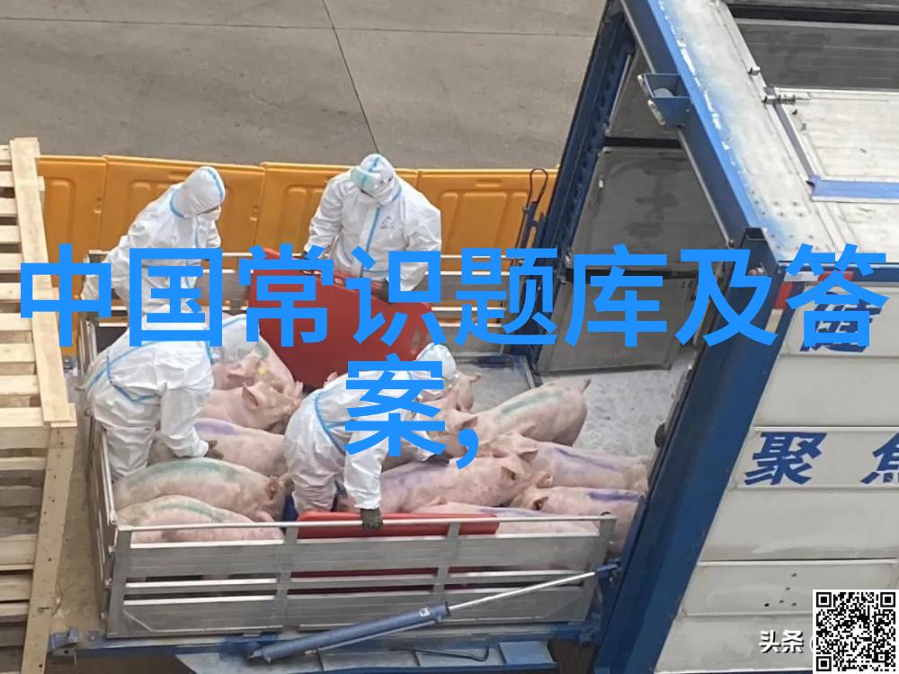 指数基金估值艺术剖析 NAVPE比率与市场效率