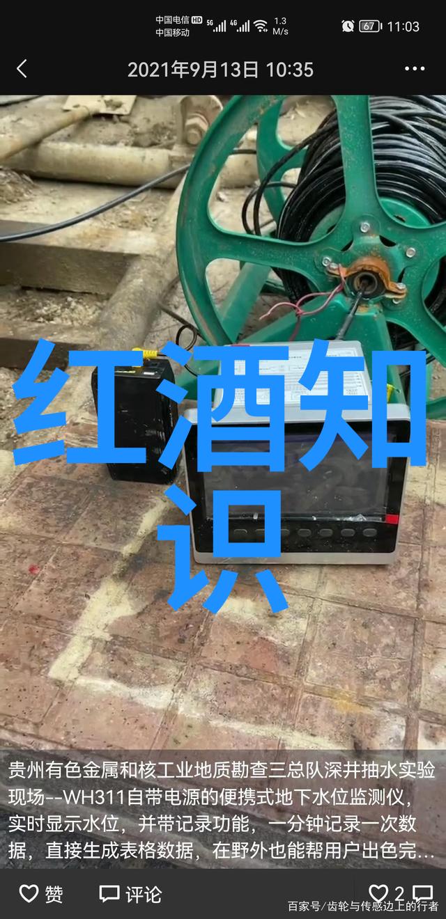 猫品种查询-探索世界上最美的毛茸茸猫品种大全与特性解析
