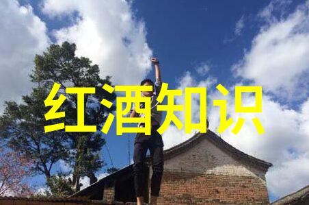 从家猫到异国风情介绍全球猫科动物的多样化品种