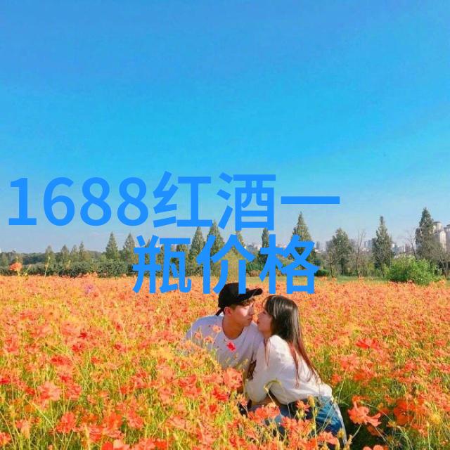 穿越之好事多磨穿越时空的不凡旅程