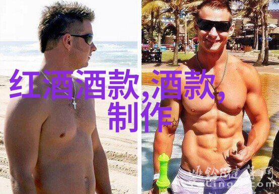 老雷张莹莹第7章深夜的秘密会议