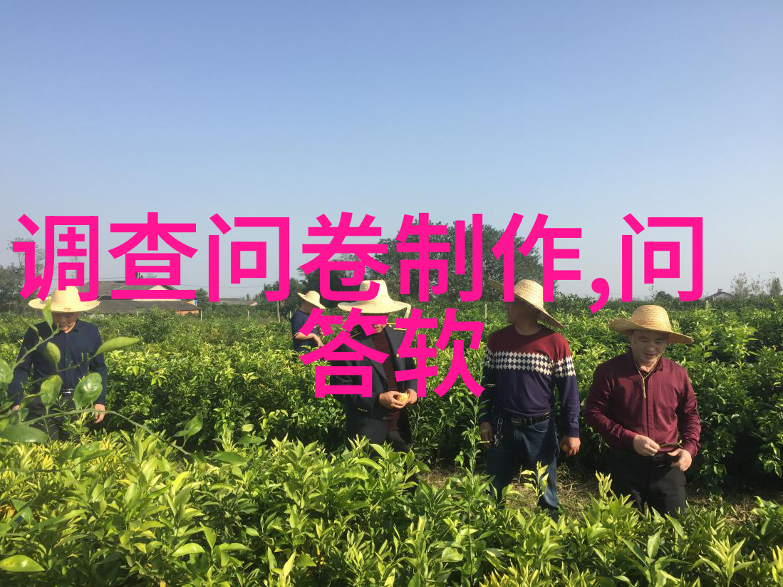 科学合理管理国宝华夏文存库建设与运营经验分享大会