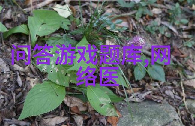 我来教你猫咪的种类和图片大全揭秘它们的可爱与多样性