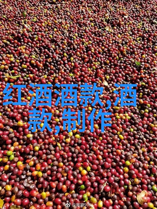 暑假适合带娃旅游的地方我去哪儿玩啊