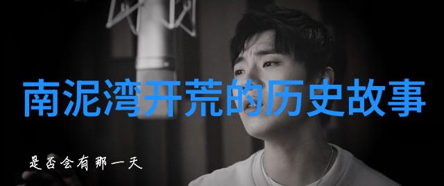 喵声图谱猫科的色彩与影像