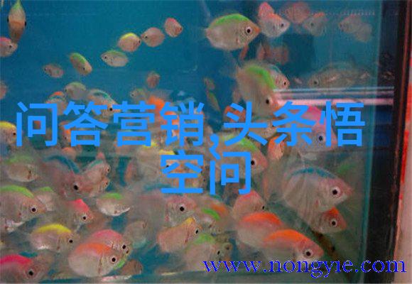 中国古典园林的现代诠释中式庄园设计效果图解析
