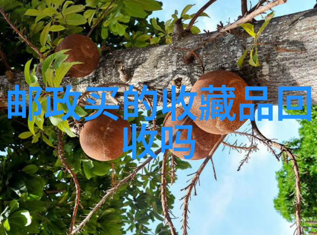 在哪里才能找到真正的心灵家园全球15个理想旅游目的地