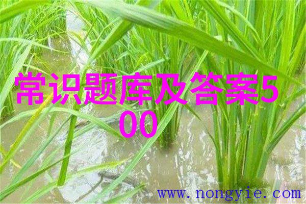 绘画技巧如何将男生侧脸的帅气形象描绘得栩栩如生