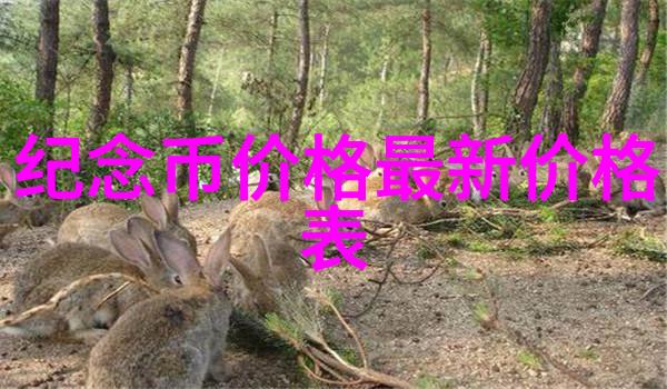 女性健康咨询免费问诊妇科解答疑惑守护福祉