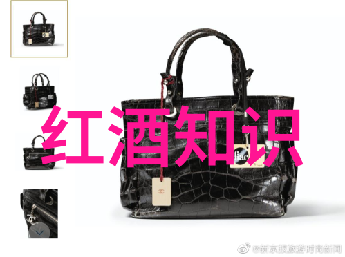 人物的名词解释怎么答-揭秘角色扮演中的术语精髓