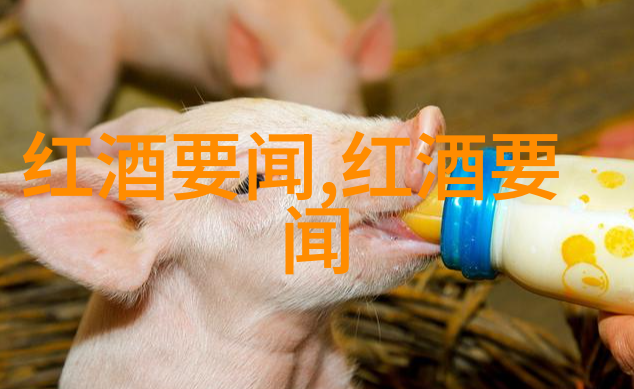 红酒文化的终极解读醉心于古典与现代的完美融合