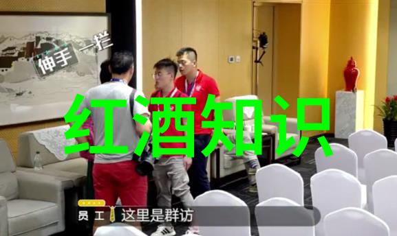庄园游戏下载体验豪华庄园生活的经典策略游戏