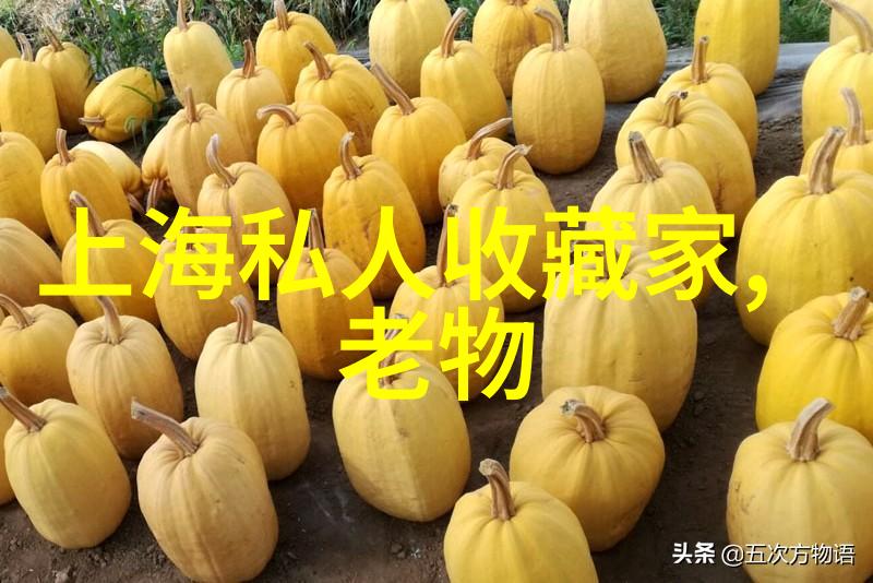 穿越明朝的迷雾历史的诡异与传奇
