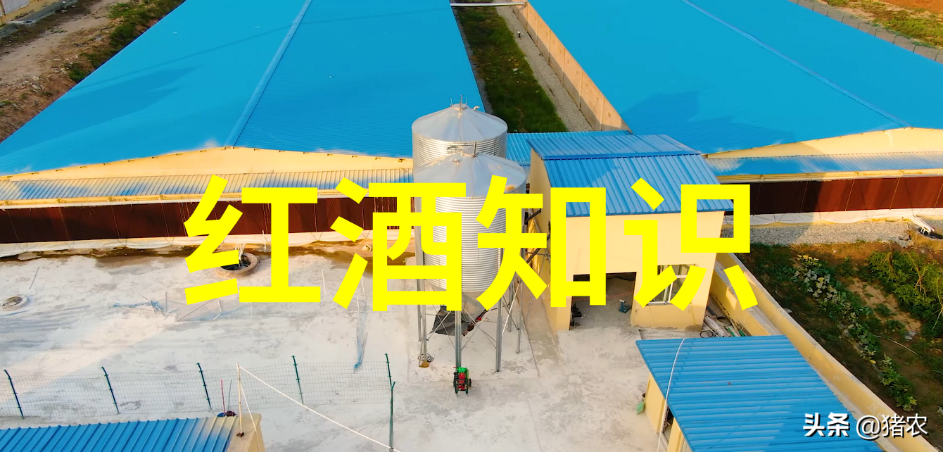 品酒技巧解锁高端酒款的品鉴艺术