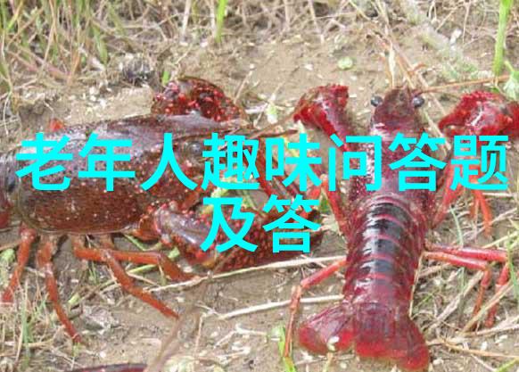 了解佛罗里达州海湖庄园社区活动和文化节日盛况