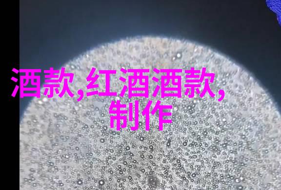 酒文化在当今社会的意义探索现代生活中的酒类饮品与文化价值