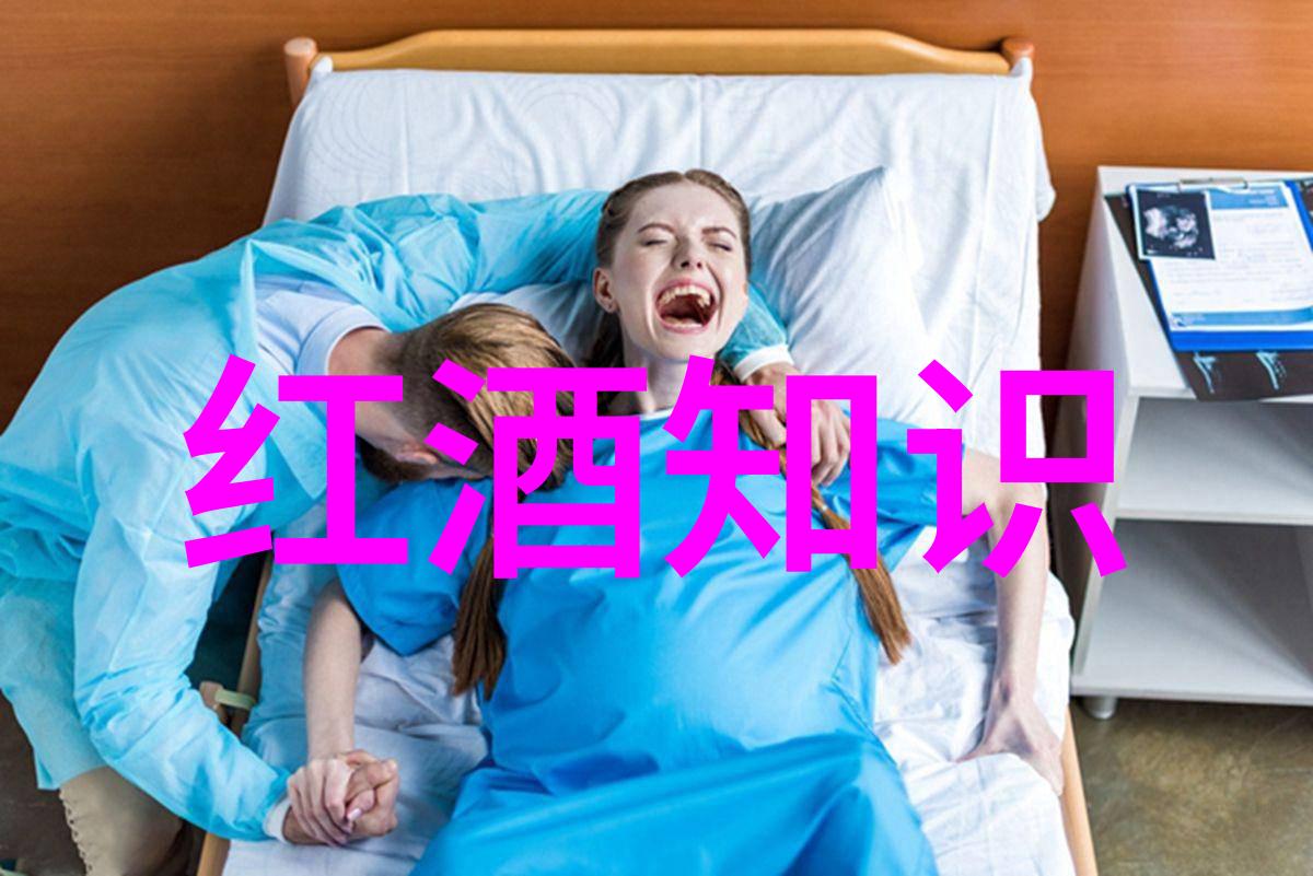 红酒资讯网-品鉴天地红酒资讯网带您深入葡萄园与酿造工艺