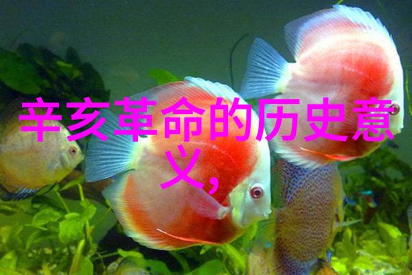 免费问诊妇科-温馨咨询解锁您的妇科健康小秘密