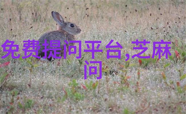 非粮食主产区如何利用现代科技推动农业进步